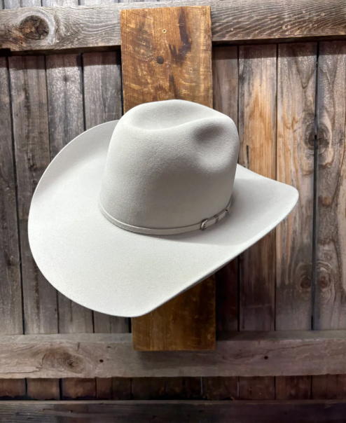 Rodeo King 10X 4 1/2" Brim | Silverbelly
