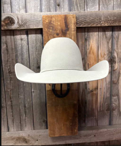 Rodeo King 10X 4 1/2" Brim | Silverbelly