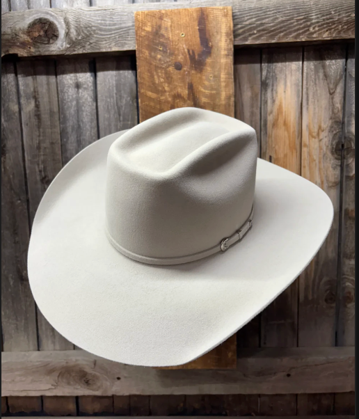 Rodeo King 10X 4 1/2" Brim | Silverbelly
