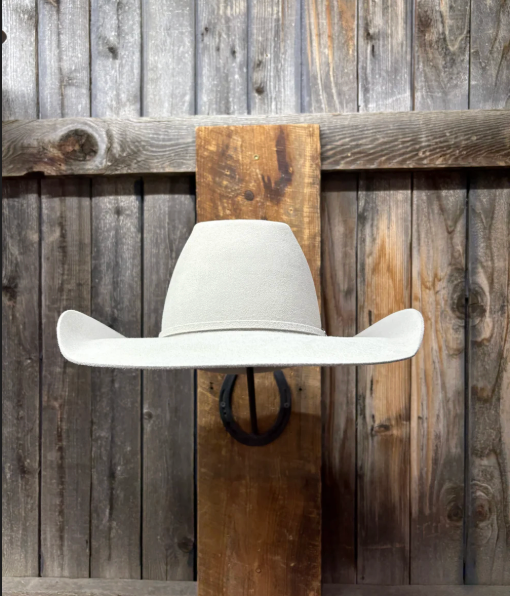 Rodeo King 10X 4 1/2" Brim | Silverbelly