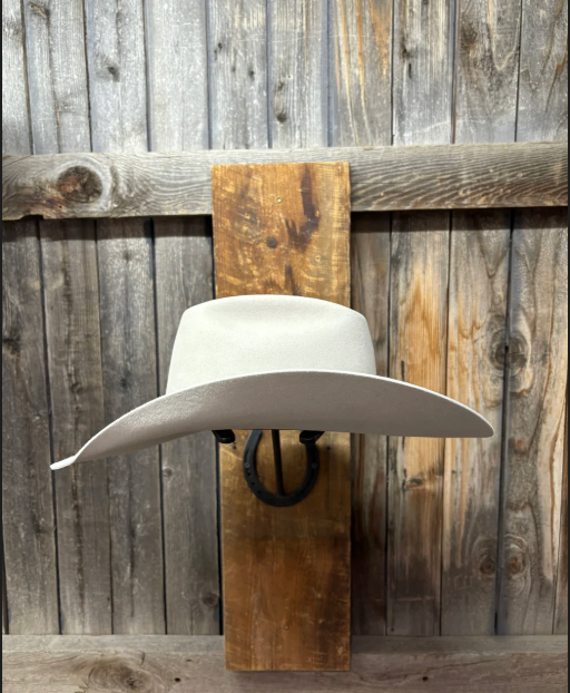 Rodeo King 10X 4 1/2" Brim | Silverbelly
