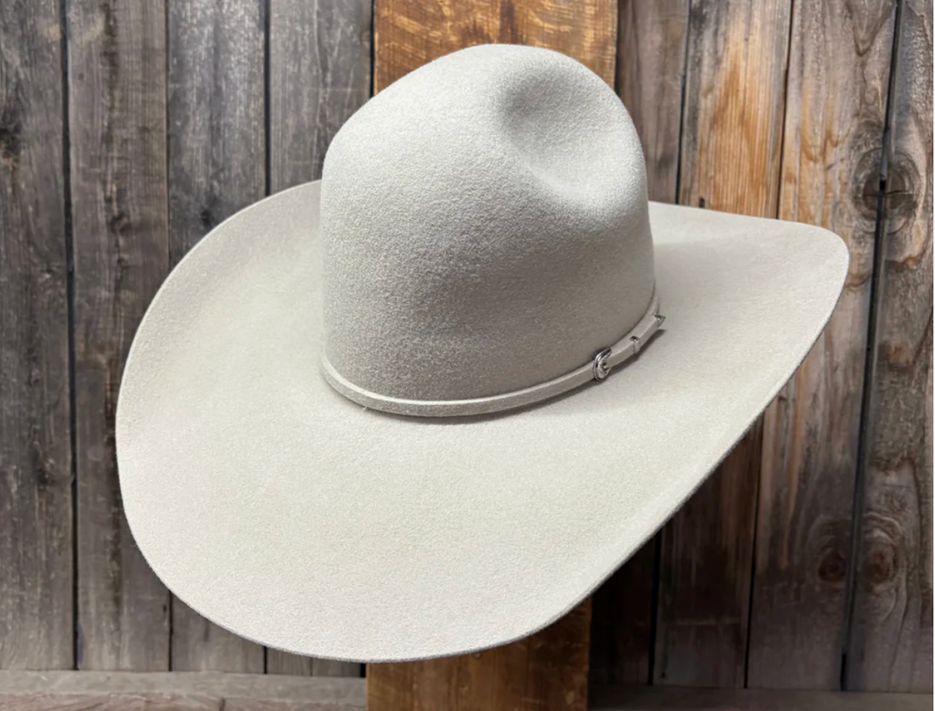 Two Turns 3X Wool 4 1/2" Brim | Silverbelly