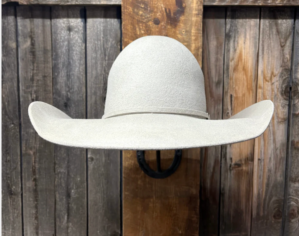 Two Turns 3X Wool 4 1/2" Brim | Silverbelly