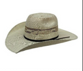 Twister Tan Bangora Pre Creased Luke Crown 4" Brim - Youth