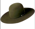 Two Turns 7X 4 1/2" Brim | Moss