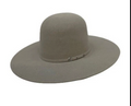 Two Turns 7X 4 1/2" Brim | Silverbelly