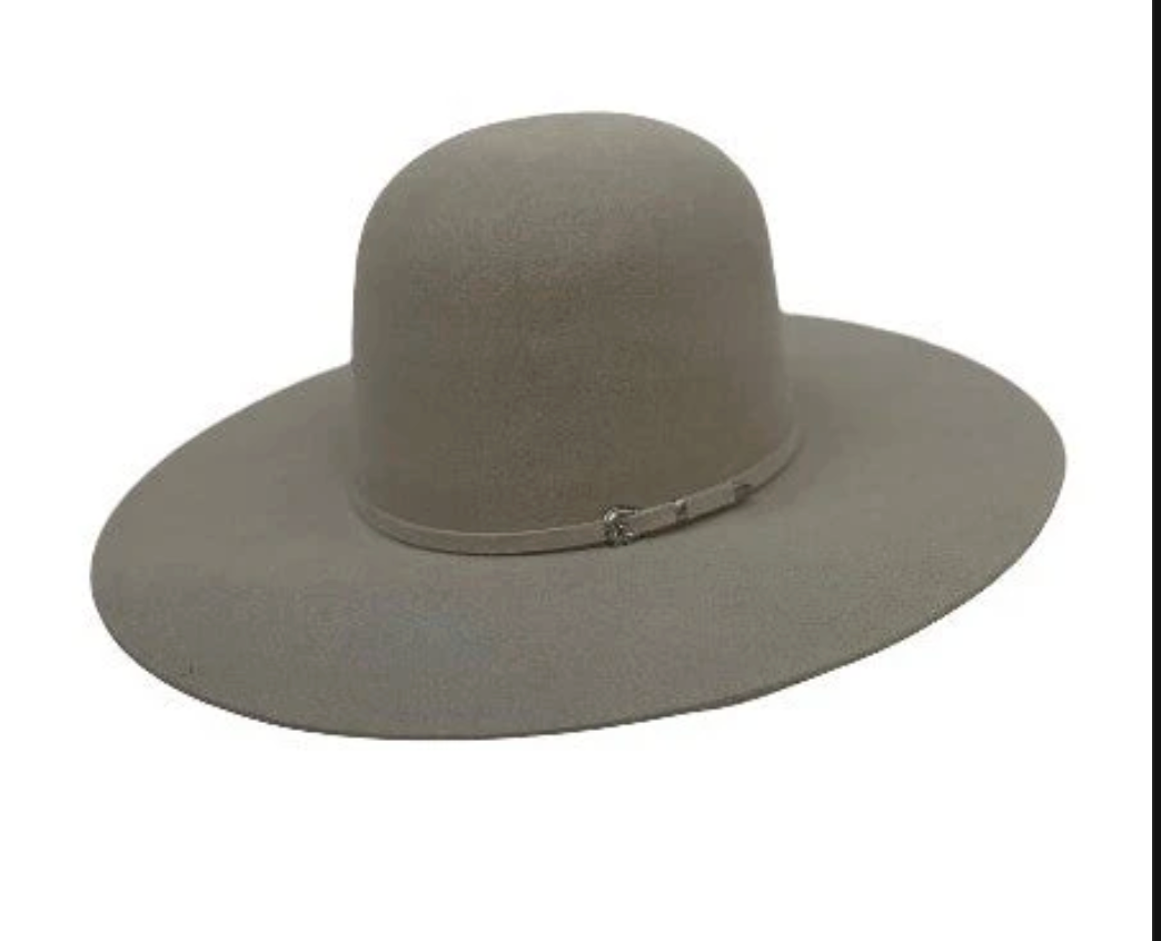 Two Turns 7X 4 1/2" Brim | Silverbelly