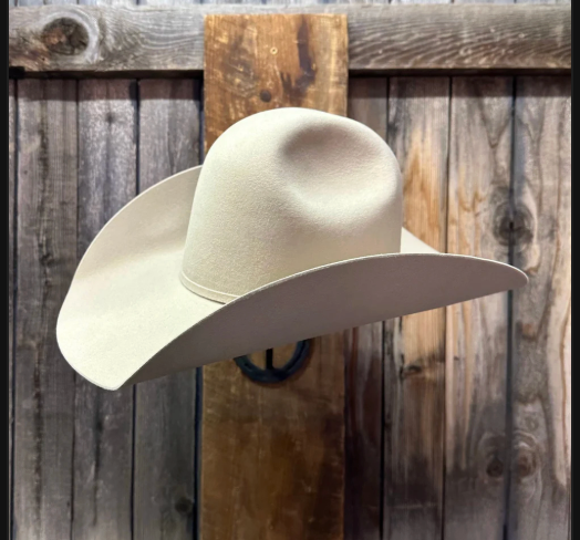 Rodeo King 10X 4 1/2" Brim | Buckskin