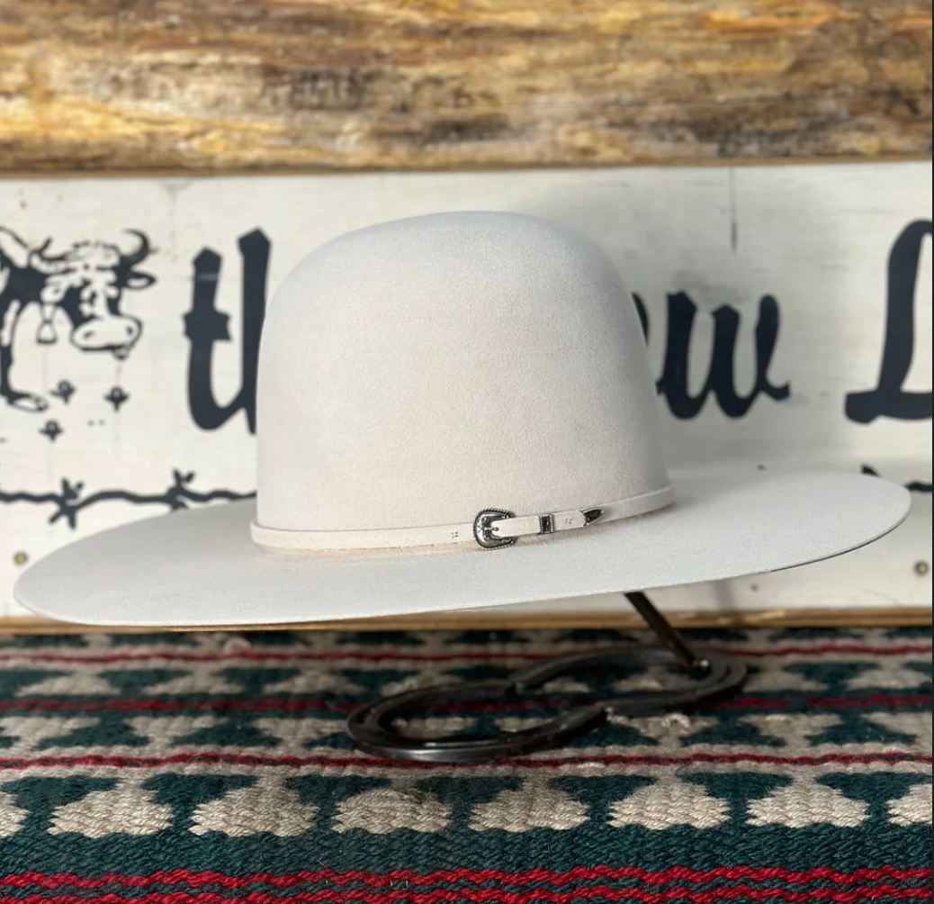 Rodeo King 30X 4 1/2“ Brim | Silverbelly
