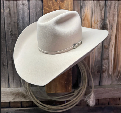 Rodeo King 30X 4 1/2“ Brim | Silverbelly