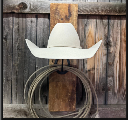 Rodeo King 30X 4 1/2“ Brim | Silverbelly