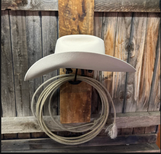 Rodeo King 30X 4 1/2“ Brim | Silverbelly