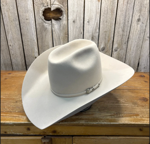 Rodeo King 30X 4 1/2“ Brim | Silverbelly