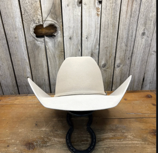 Rodeo King 30X 4 1/2“ Brim | Silverbelly