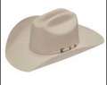 Dallas Twister 4" Brim | Silverbelly