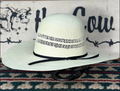 Bangora 4 1/2" Brim